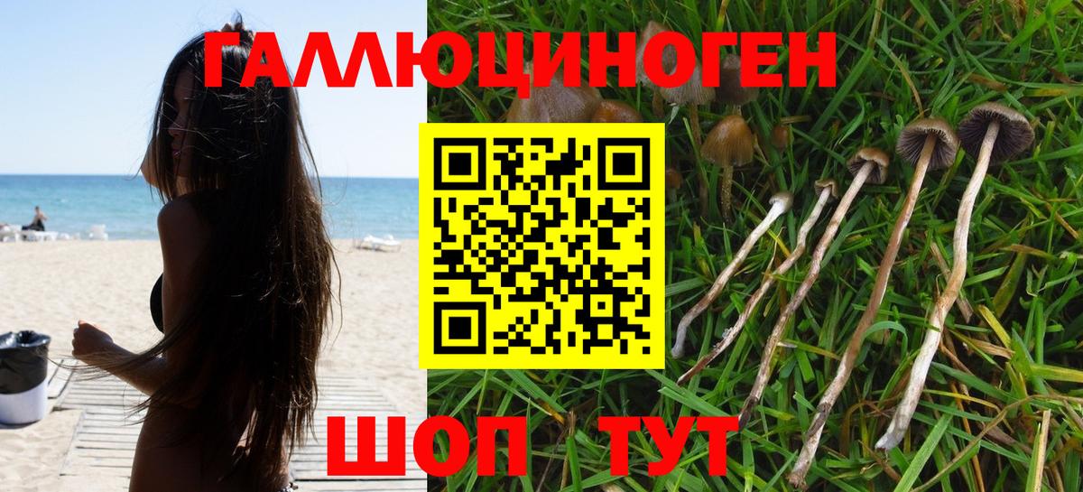 Галлюциногенные грибы Скопин