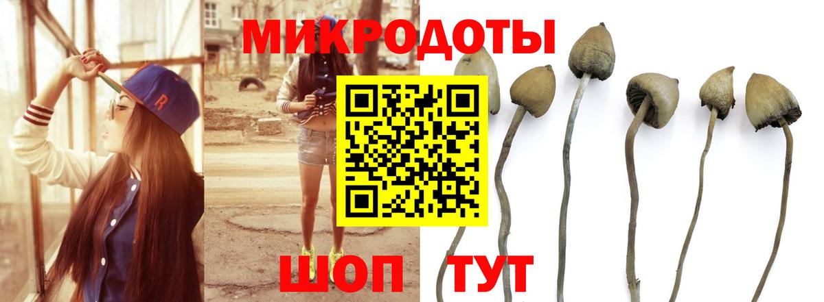 Скопин  Галлюциногенные грибы Psilocybine cubensis  Вход с VPN 